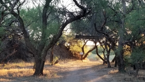 Baicatcan by Chris Eastoe Baicatcan by Chris Eastoe