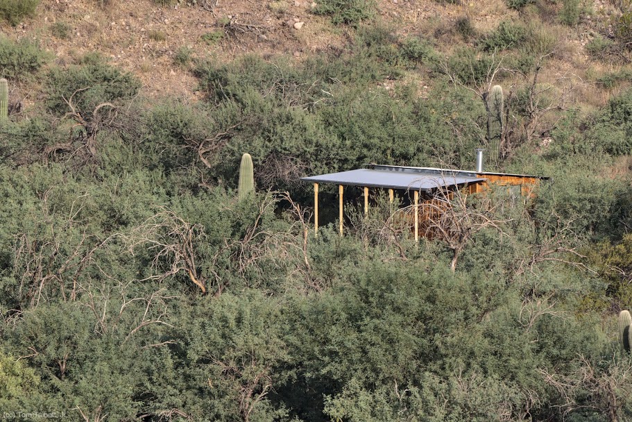 Late Spring (Tom Talbott, Jr.) Seasonal considerations--showing June conditions