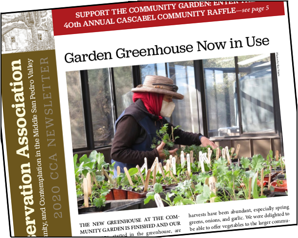 CCA newsletter cover