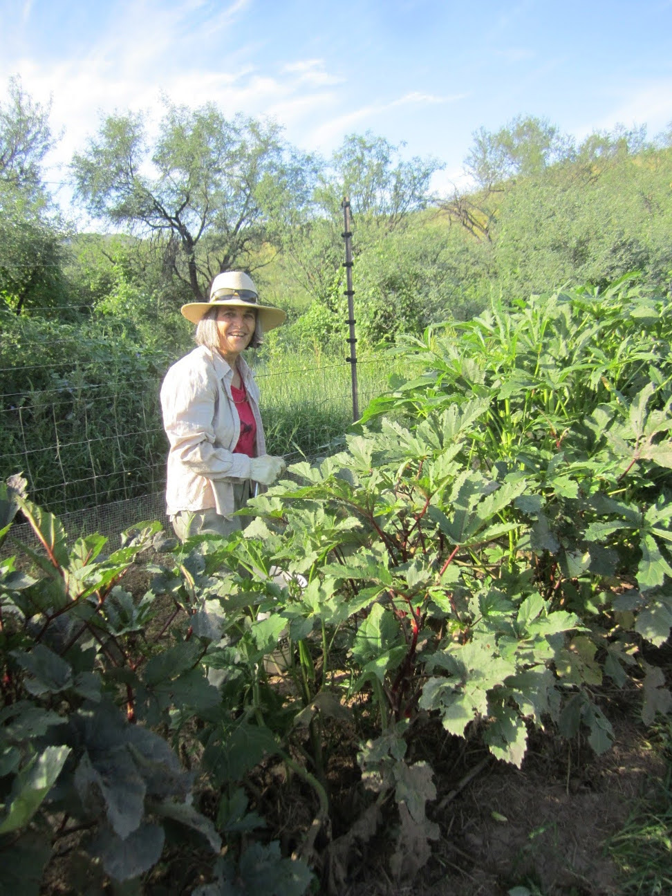 Cascabel Community Garden