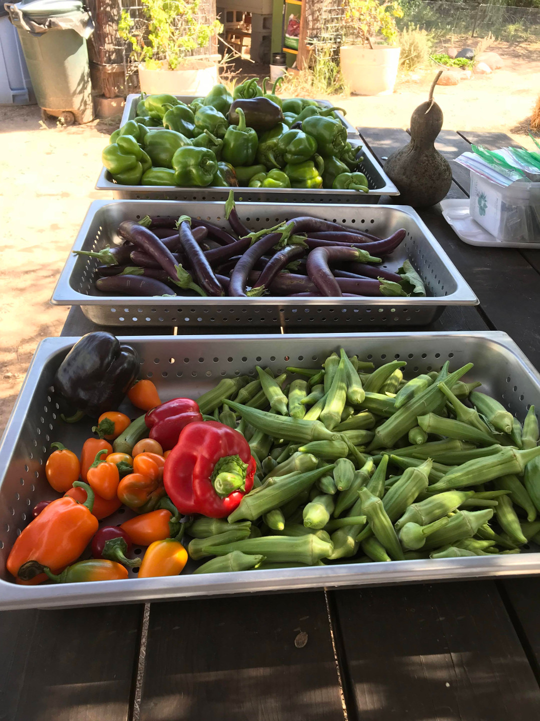 Cascabel Community Garden