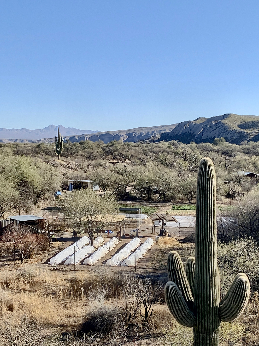 Cascabel Community Garden